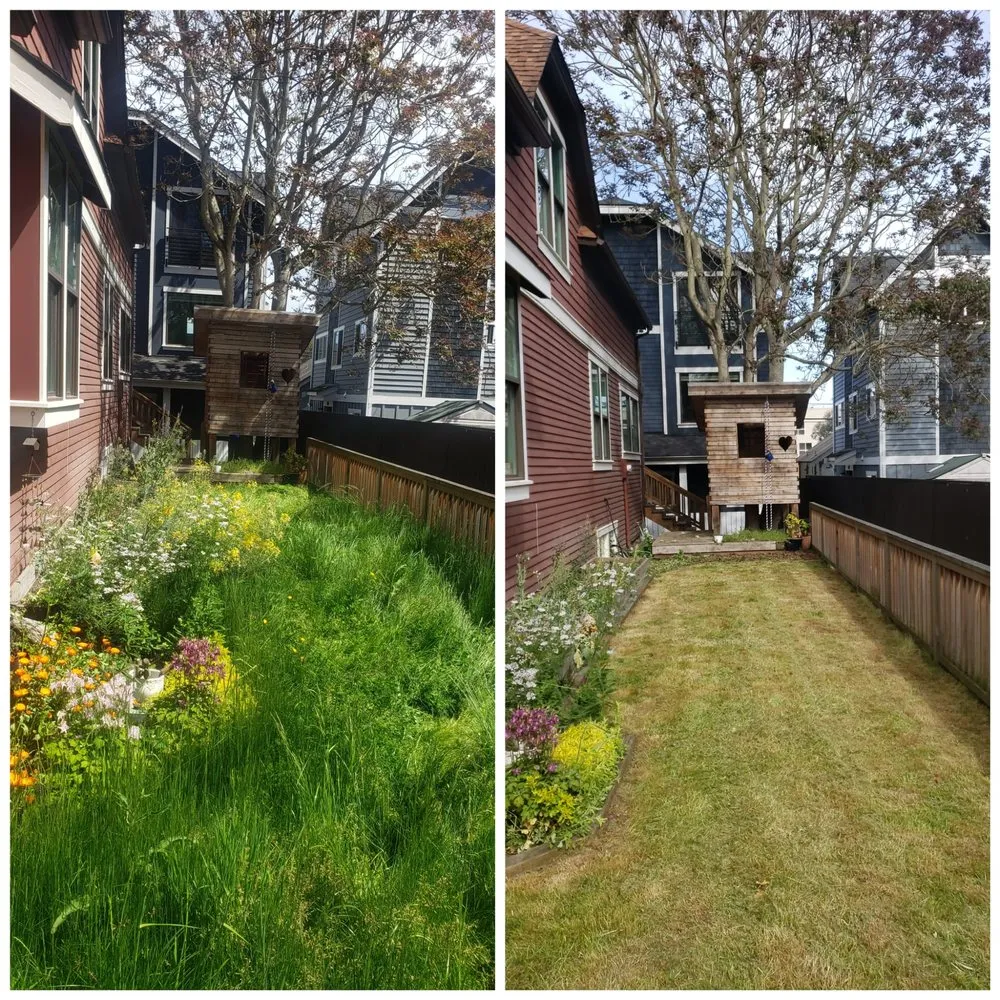 Professional landscape design for year-round maintenance across Shoreline, WA - Barbosa Landscaping