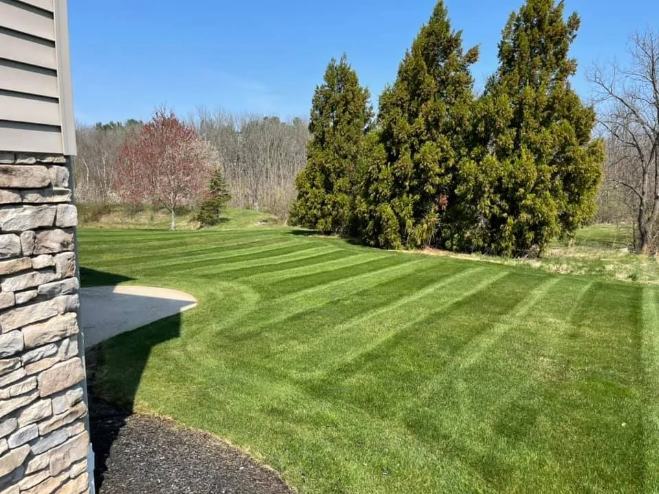 Reliable lawn care service in Shoreline, WA by Barbosa Landscaping