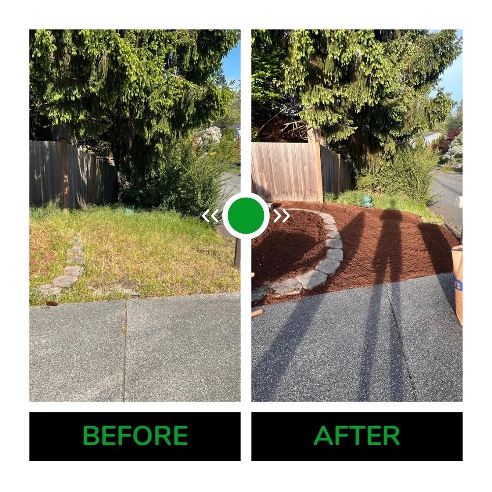 Trusted landscaping services for year-round maintenance in Shoreline, WA by Barbosa Landscaping