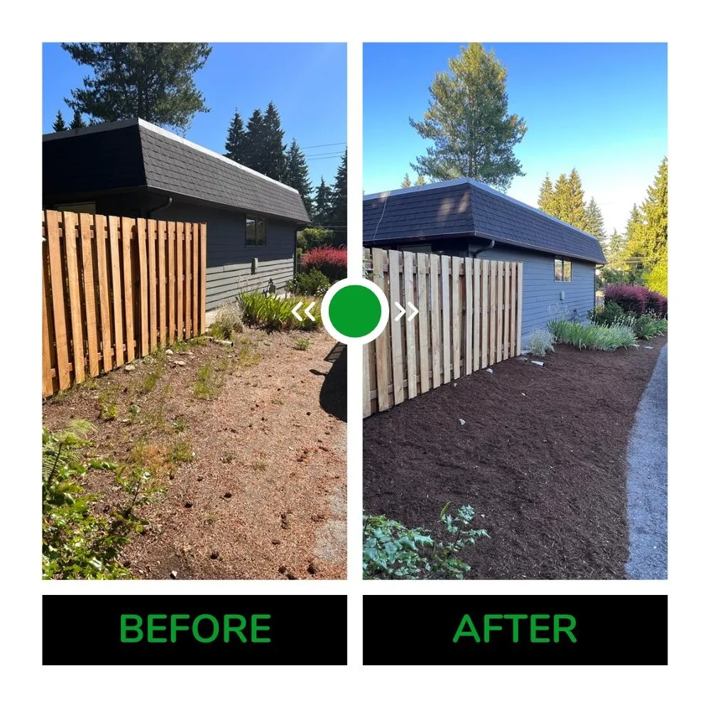Professional yard maintenance in Shoreline, WA by Barbosa Landscaping