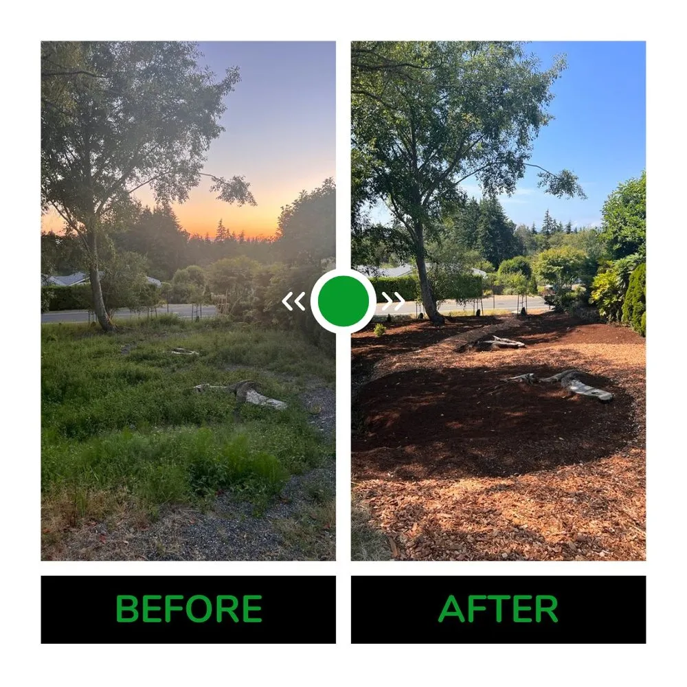 Affordable yard cleanup service in Shoreline, WA by Barbosa Landscaping