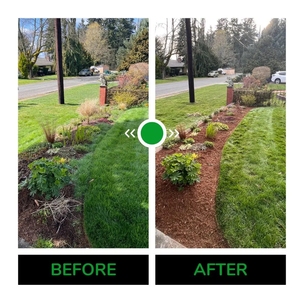 Reliable outdoor landscaping for year-round maintenance in Shoreline, WA by Barbosa Landscaping