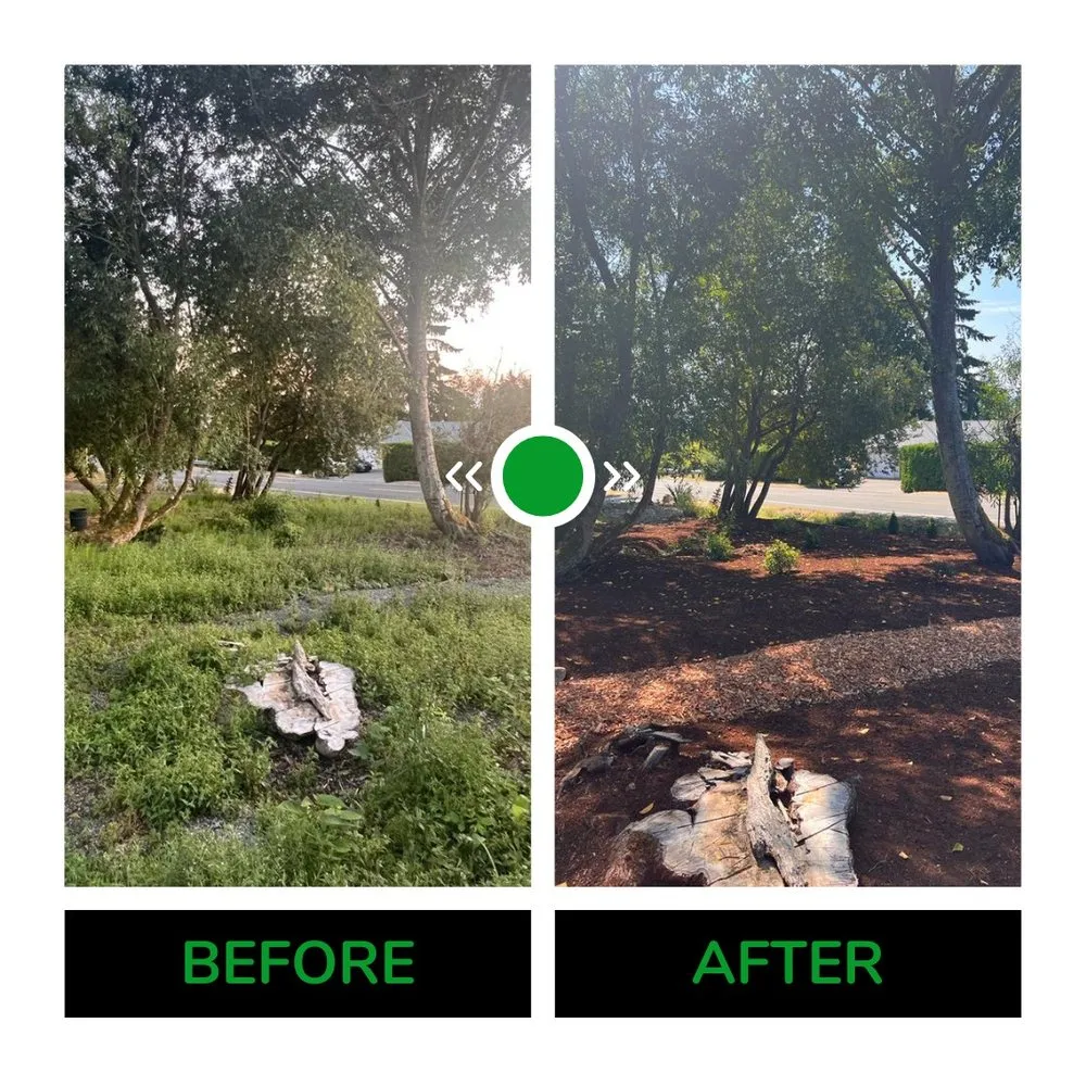 Expert landscaping services near you in Shoreline, WA by Barbosa Landscaping