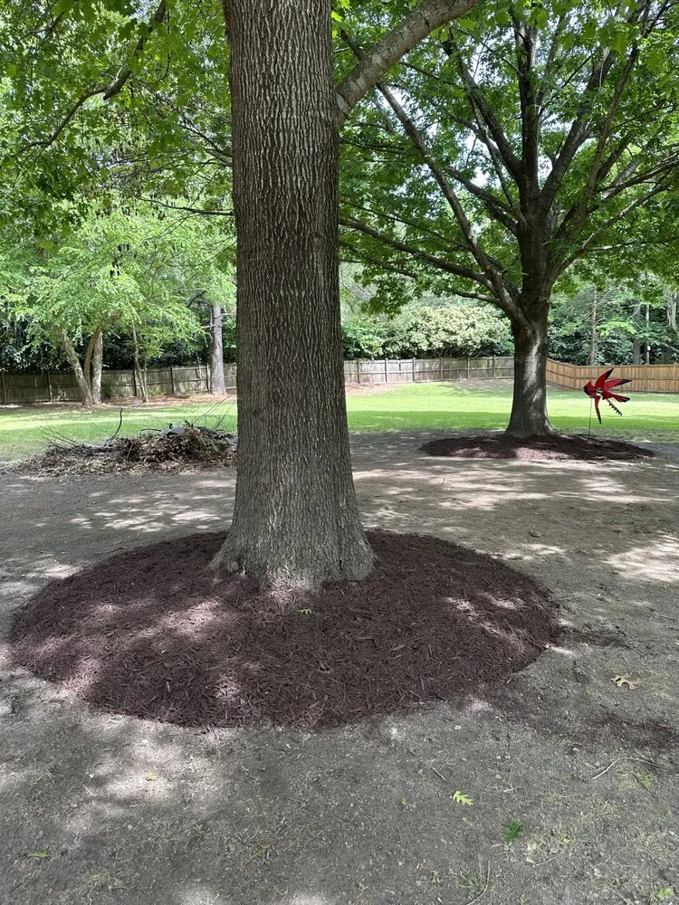 Local yard maintenance with custom design across Angier, NC - Barbosa Outdoor Solutions