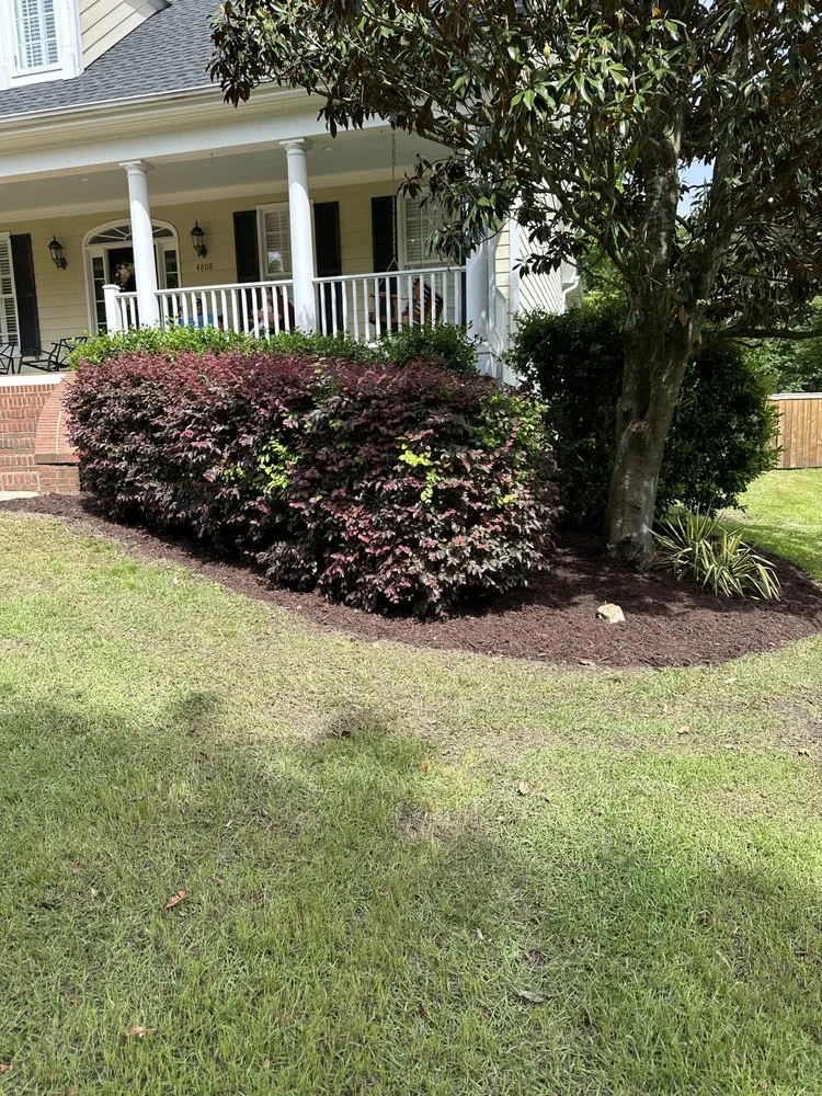 Top-rated landscape installation experts serving Angier, NC - Barbosa Outdoor Solutions