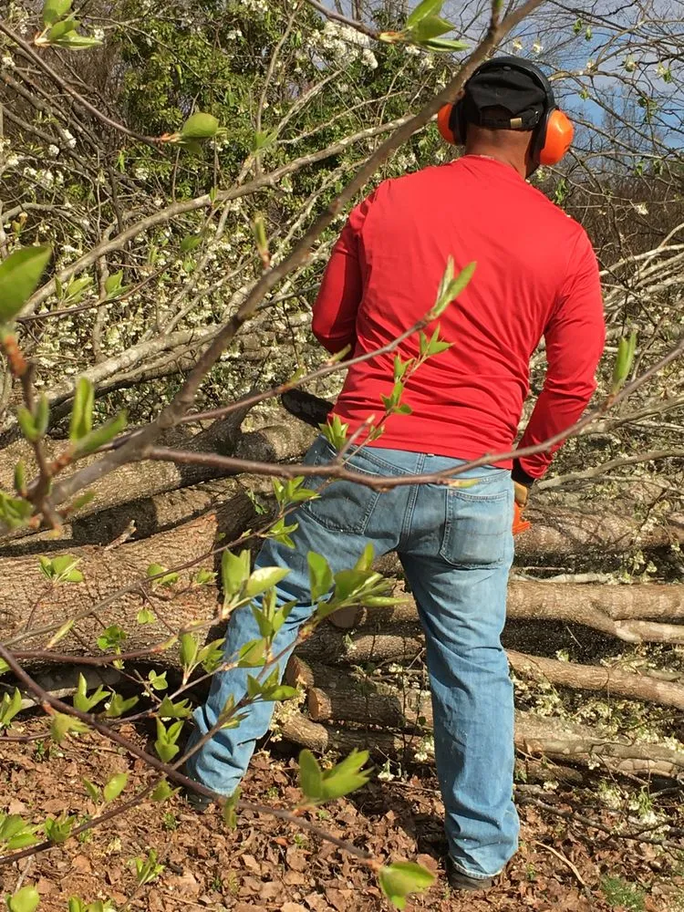 Affordable lawn mowing service near you in Hendersonville, NC by Barbosa’s Lawn Care