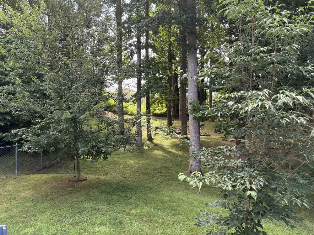 Custom landscape installation for year-round maintenance in Hendersonville, NC by Barbosa’s Lawn Care