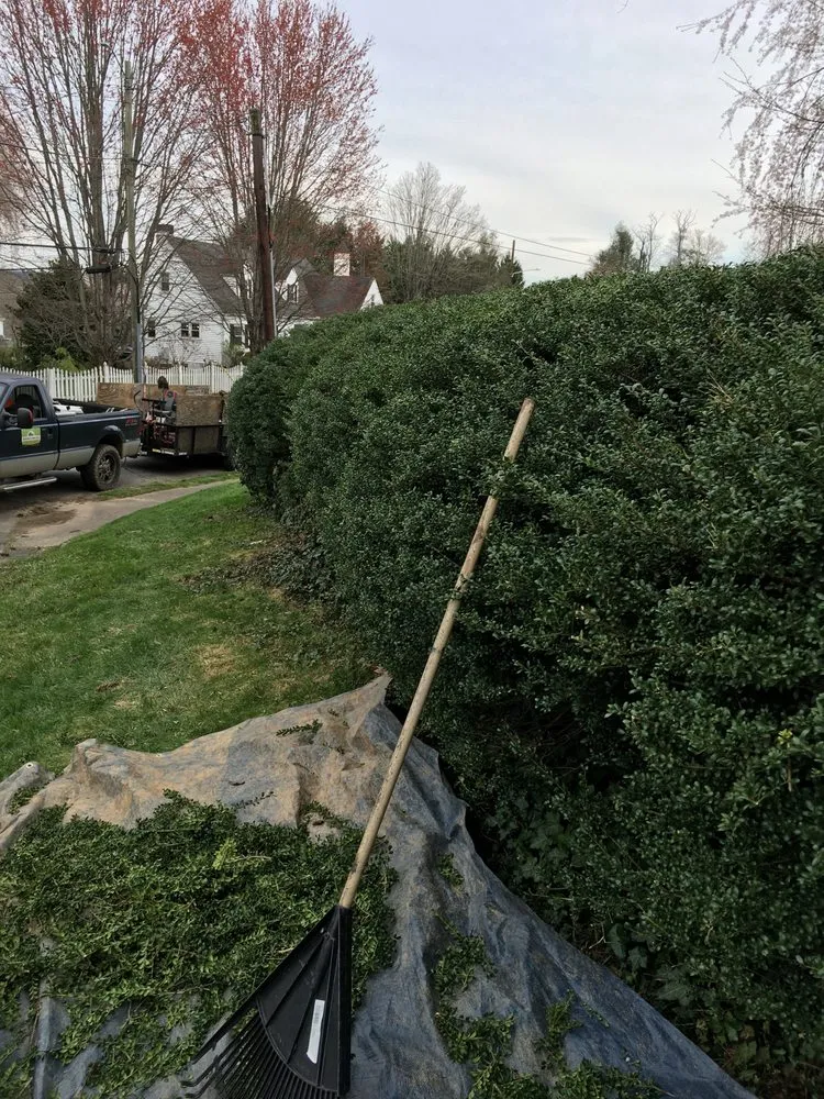 Professional landscaping services in Hendersonville, NC - Barbosa’s Lawn Care