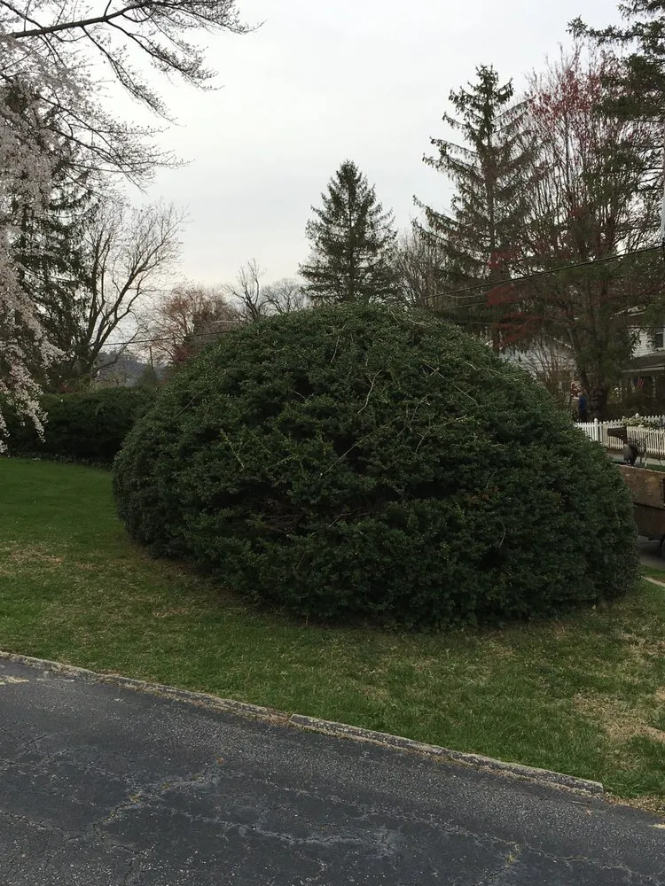 Trusted landscaping services in Hendersonville, NC by Barbosa’s Lawn Care