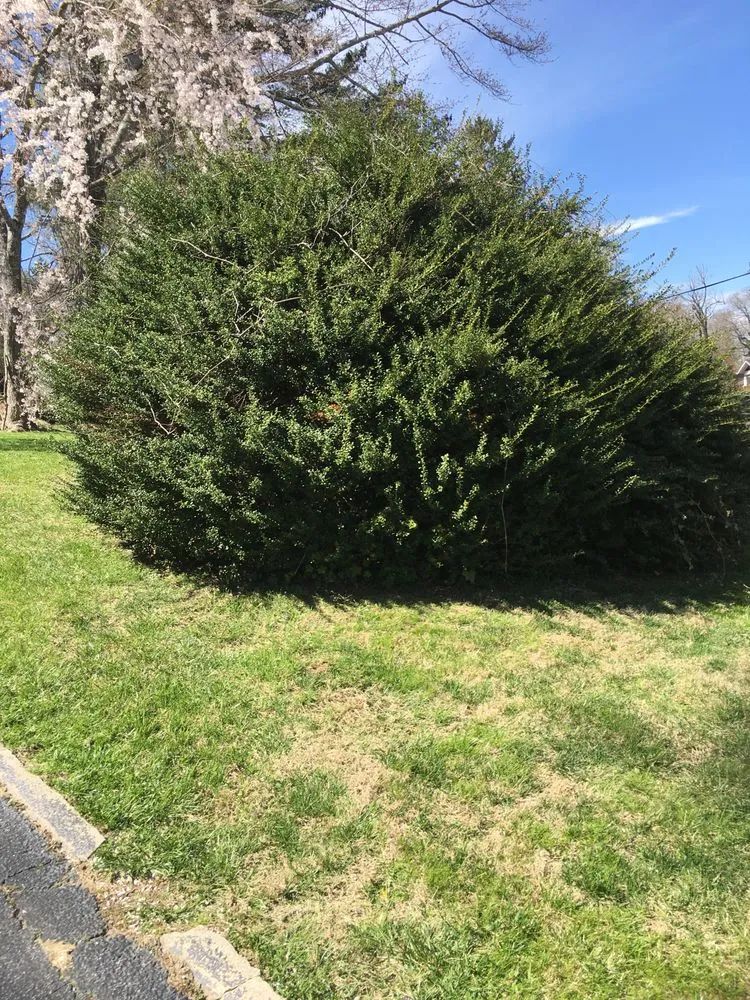 Reliable outdoor landscaping for outdoor upgrades in Hendersonville, NC by Barbosa’s Lawn Care