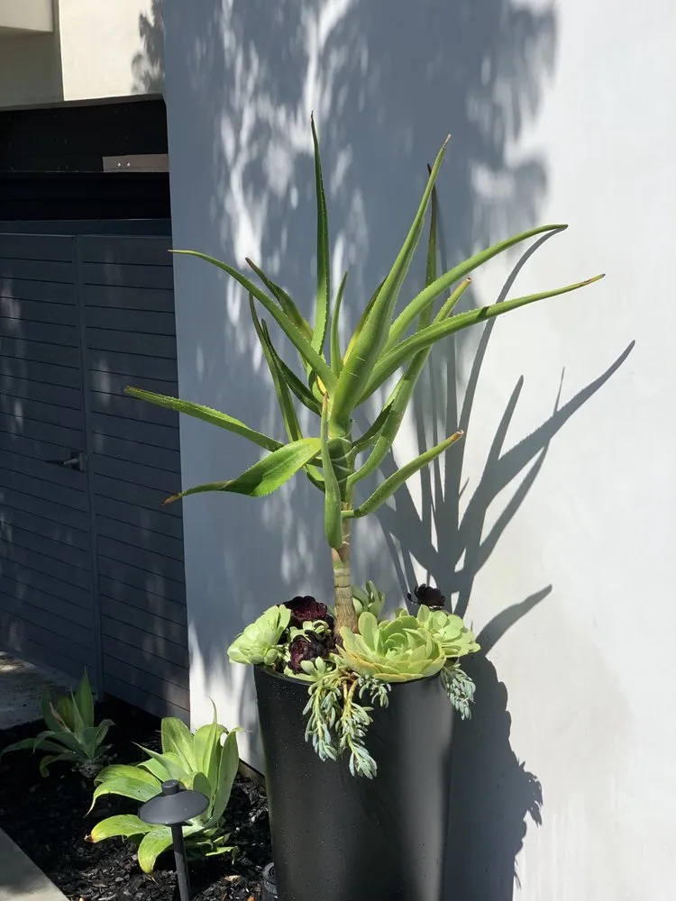 Custom landscape design for outdoor upgrades in San Clemente, CA by Barcelona Outdoors LLC