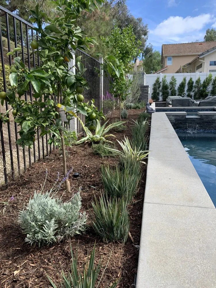 Local landscape installation for residential properties across San Clemente, CA - Barcelona Outdoors LLC