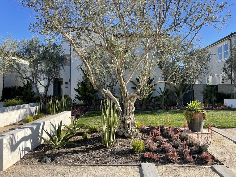 Professional garden landscaping for year-round maintenance in San Clemente, CA by Barcelona Outdoors LLC