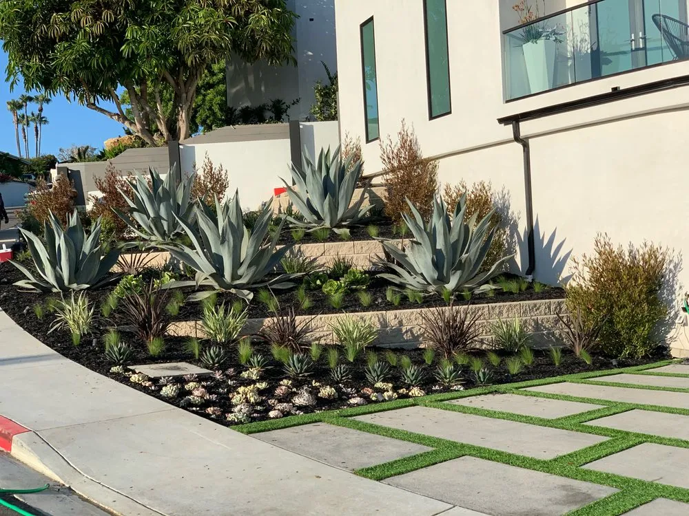 Professional lawn care service in San Clemente, CA - Barcelona Outdoors LLC