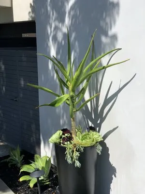 Barcelona Outdoors LLC Logo