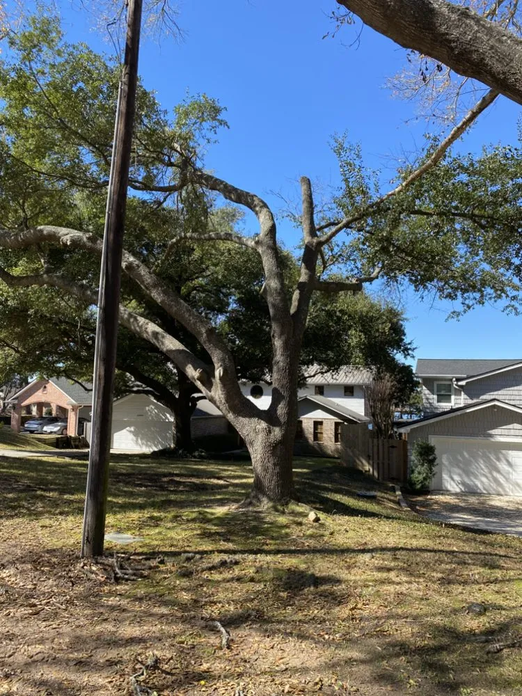 Expert lawn mowing service for homes across Conroe, TX - Barcenas Brothers Landscaping & Lawn Services