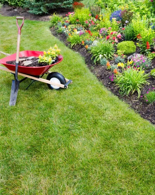 Reliable garden landscaping in Palmdale, CA by Barcenas Tree Service and Landscaping