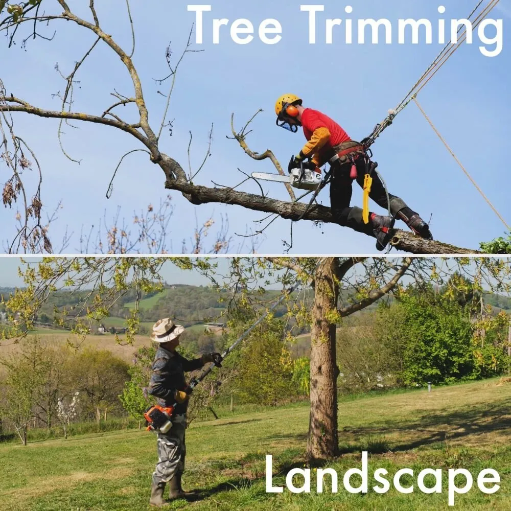 Trusted landscape installation in Palmdale, CA by Barcenas Tree Service and Landscaping