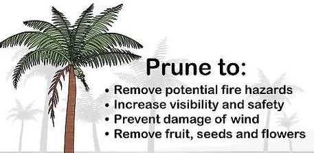 Top-rated garden landscaping for homes in Palmdale, CA by Barcenas Tree Service and Landscaping