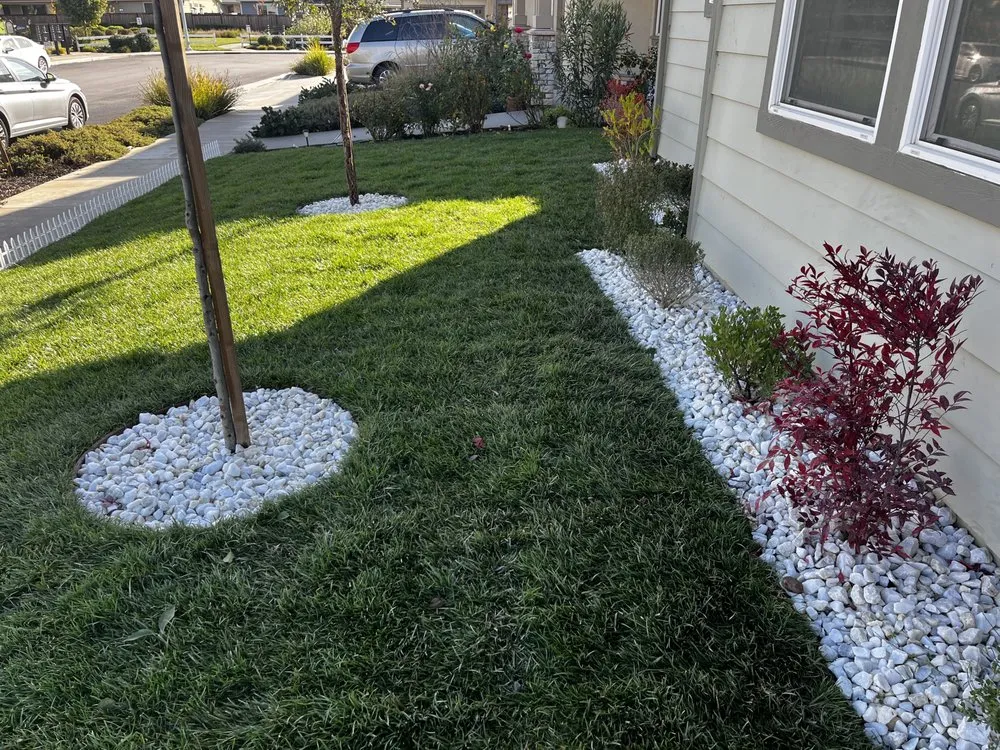 Top-rated landscape design in Morgan Hill, CA - Barchuk Landscape