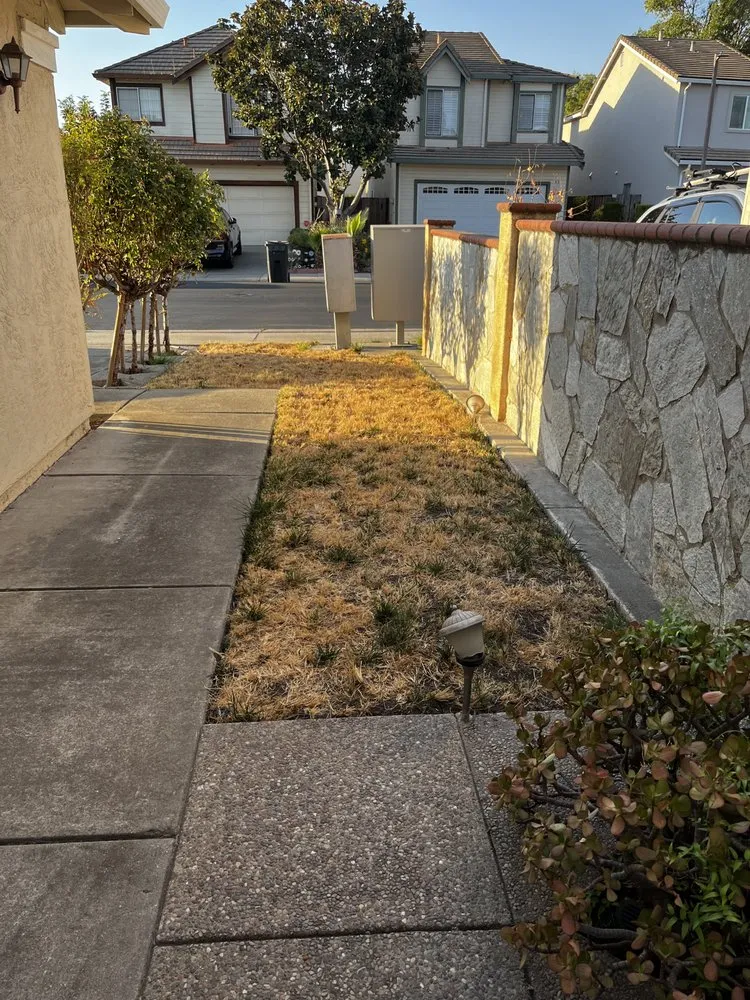 Affordable landscaping services for homes in Morgan Hill, CA by Barchuk Landscape