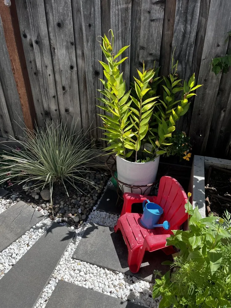 Trusted yard maintenance for homes in Morgan Hill, CA by Barchuk Landscape