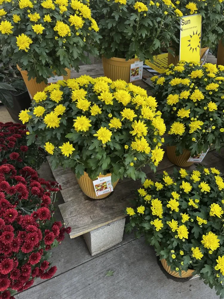 Local landscape installation for residential properties across Morgan Hill, CA - Barchuk Landscape