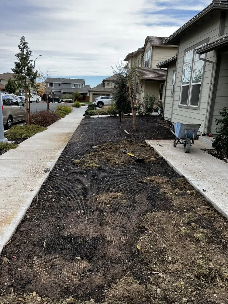 Affordable lawn care service experts serving Morgan Hill, CA - Barchuk Landscape