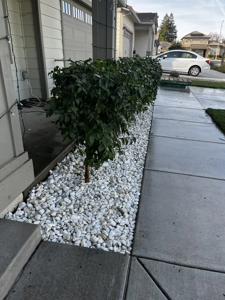 Local landscape design near you across Morgan Hill, CA - Barchuk Landscape