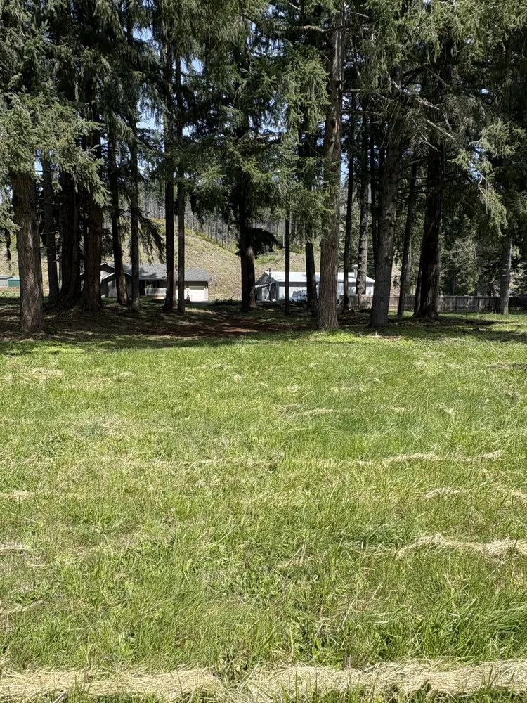 Top-rated lawn care service in Eugene, OR - Barckley & Co