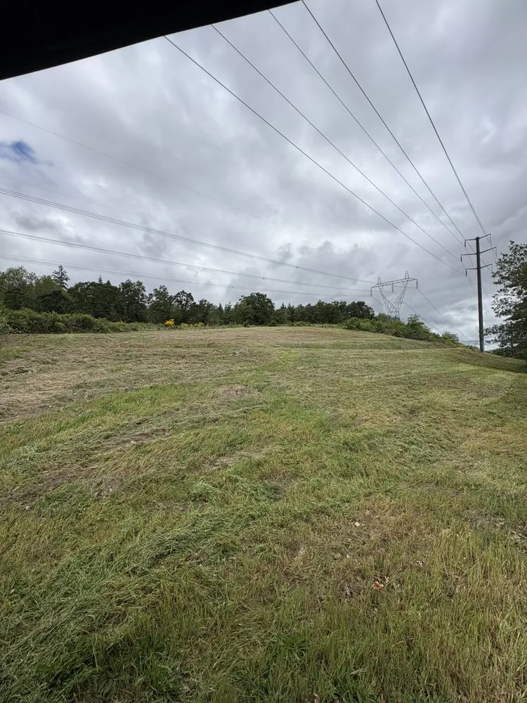 Top-rated outdoor landscaping near you across Eugene, OR - Barckley & Co