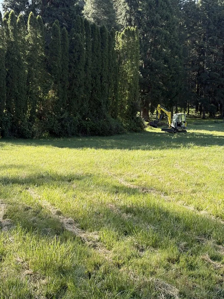 Affordable yard cleanup service in Eugene, OR - Barckley & Co