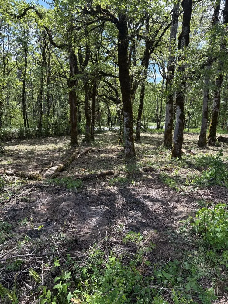 Trusted garden landscaping for beautiful yards across Eugene, OR - Barckley & Co