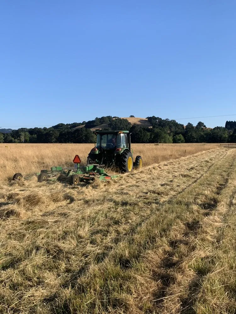 Trusted residential landscaping experts serving Eugene, OR - Barckley & Co