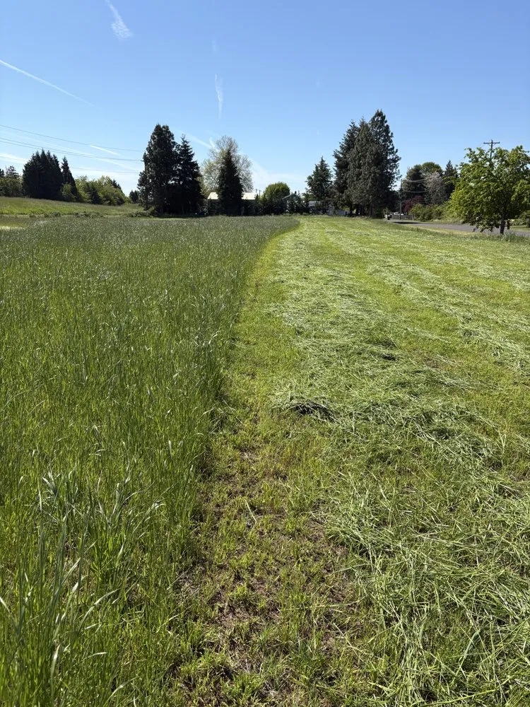 Reliable yard maintenance experts serving Eugene, OR - Barckley & Co