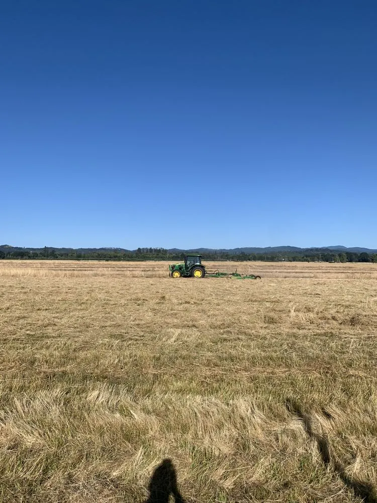 Affordable yard maintenance for beautiful yards in Eugene, OR by Barckley & Co