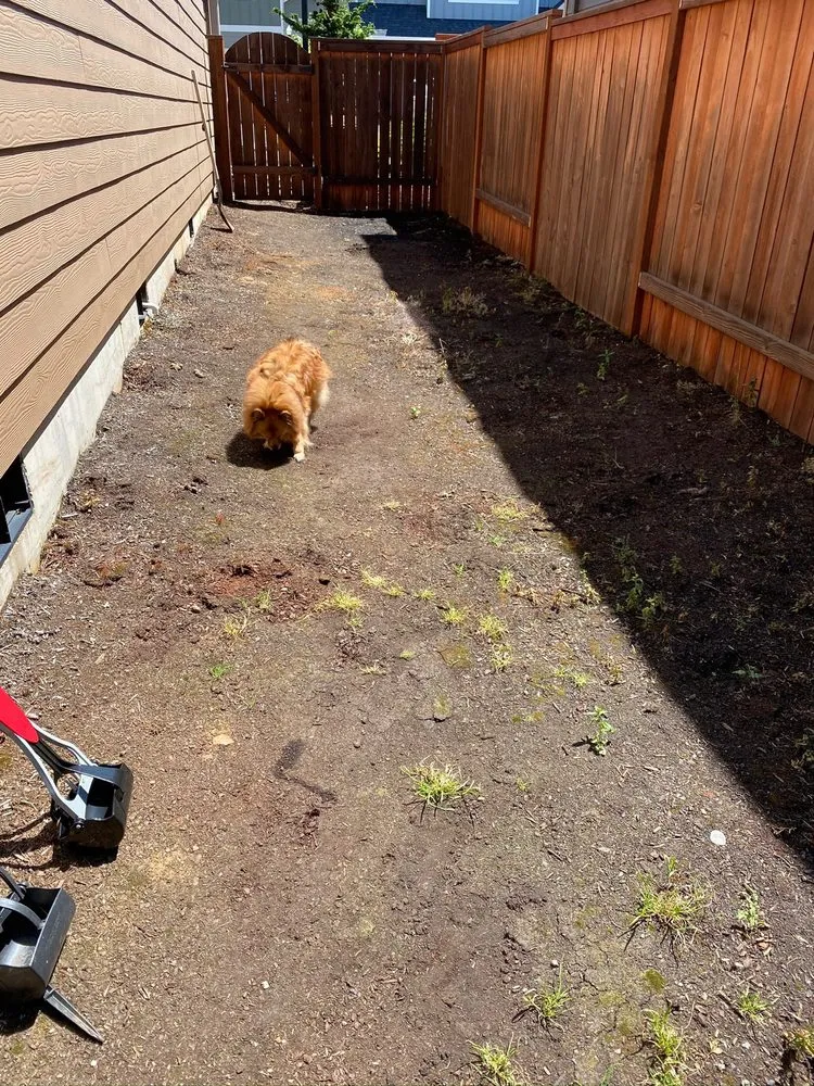 Local lawn mowing service in Portland, OR - Barclay's Gardens and More