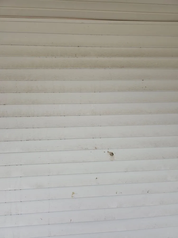 Expert yard cleanup service for residential properties in Knoxville, TN by Barcol Mow and More