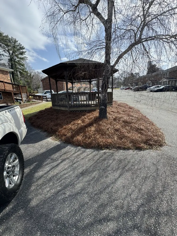 Professional lawn care service in Walnut Cove, NC - Barczy Landscaping