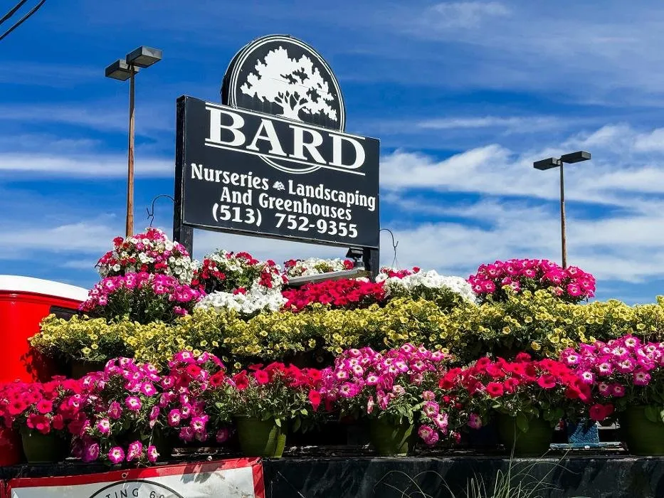 Expert yard cleanup service experts serving Amelia, OH - Bard Nurseries