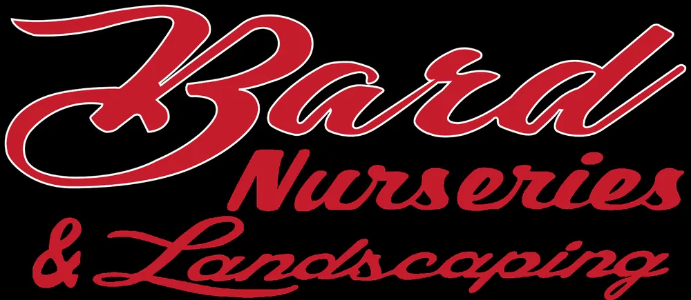 Expert yard cleanup service in Amelia, OH by Bard Nurseries