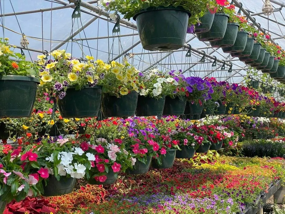 Trusted landscape installation for year-round maintenance in Amelia, OH by Bard Nurseries