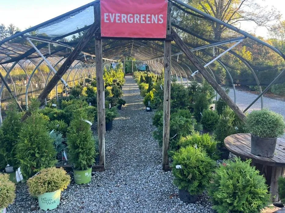 Expert garden landscaping in Amelia, OH by Bard Nurseries