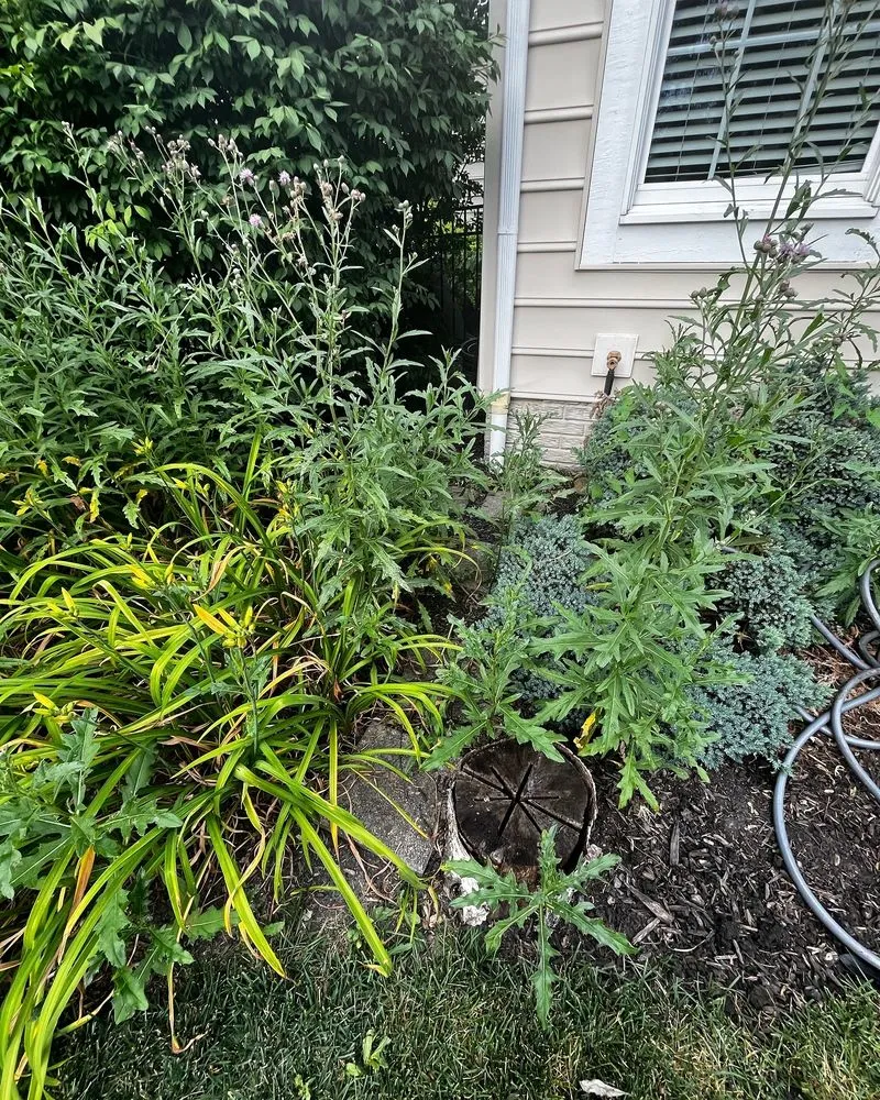 Affordable landscaping services near you across Columbus, OH - Bardelang Lawn & Handyman Services