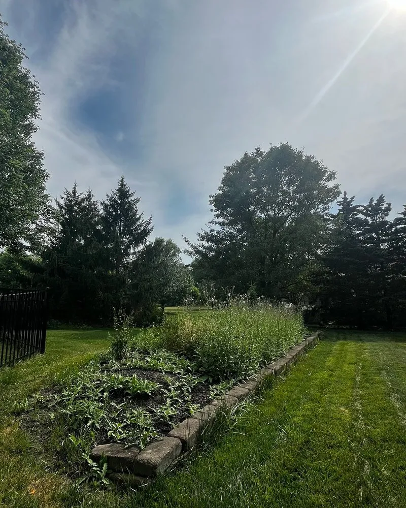 Expert yard maintenance for year-round maintenance in Columbus, OH by Bardelang Lawn & Handyman Services