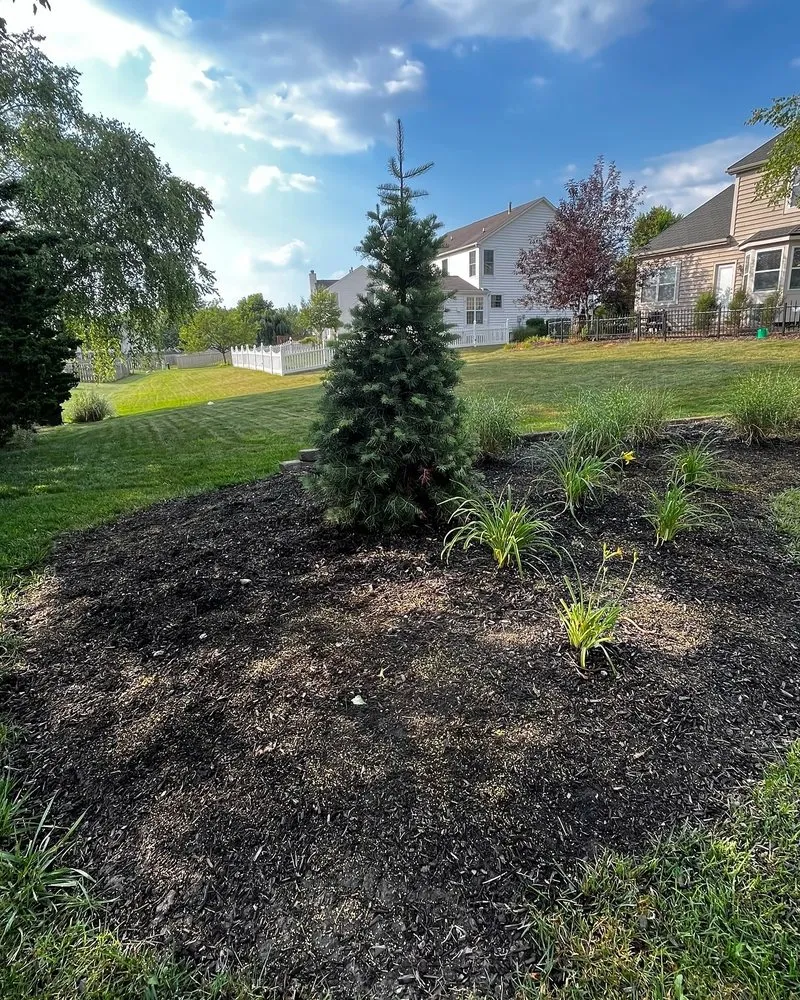 Local landscape design in Columbus, OH by Bardelang Lawn & Handyman Services