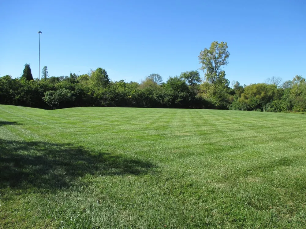 Top-rated landscape installation in Maineville, OH - Bardos Landscaping & Lawn Care