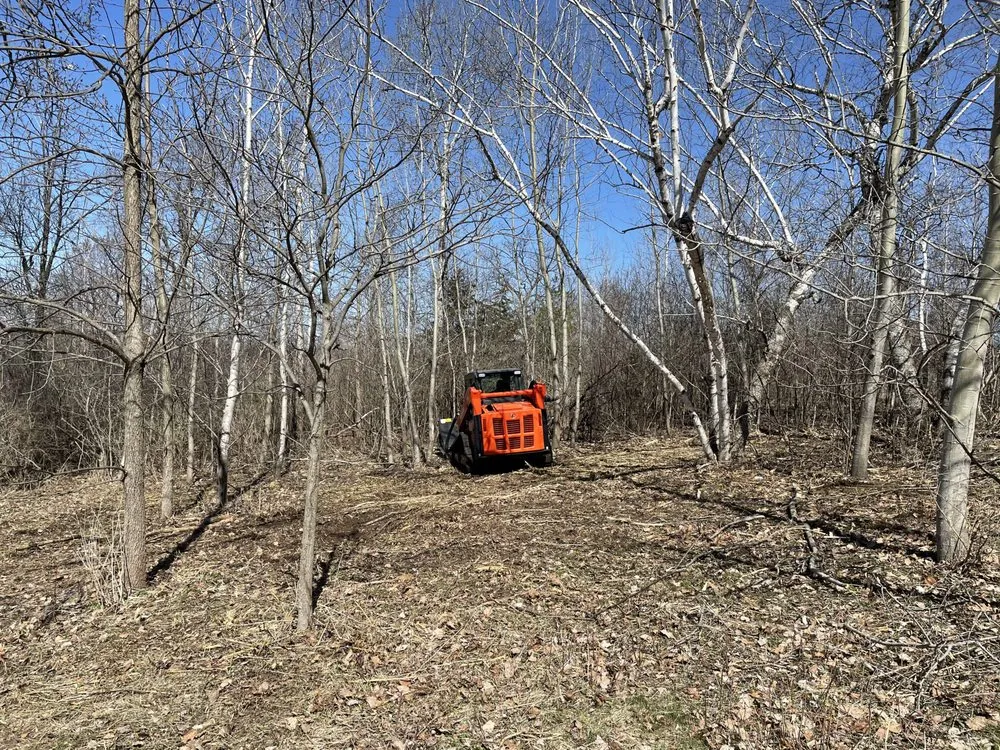 Affordable yard maintenance in Cross Plains, WI by Bare
