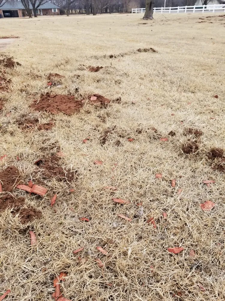 Custom landscape installation for outdoor upgrades across Yukon, OK - Bare Foot Turf