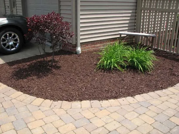 Top-rated yard cleanup service in Warren, OH by Bare Root Landscaping